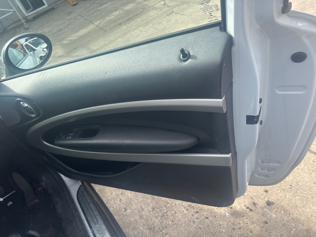 [EPE-128852] Panel de puerta Mini Paceman Cooper D