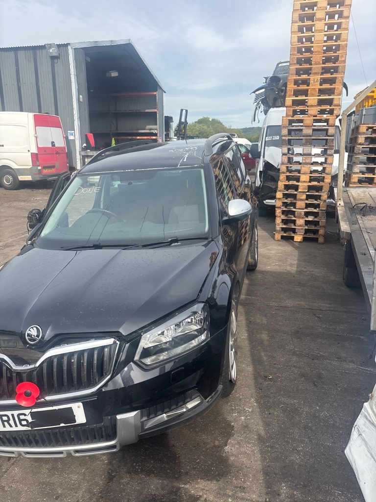 [EPE-129366] Parasol izquierdo Skoda Yeti