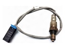 Sonda lambda BMW X4 (G02, F98)