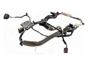 Cableado puerta trasera izquierda Ford Kuga I