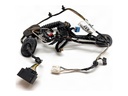 Cableado puerta delantera izquierda Ford Kuga I