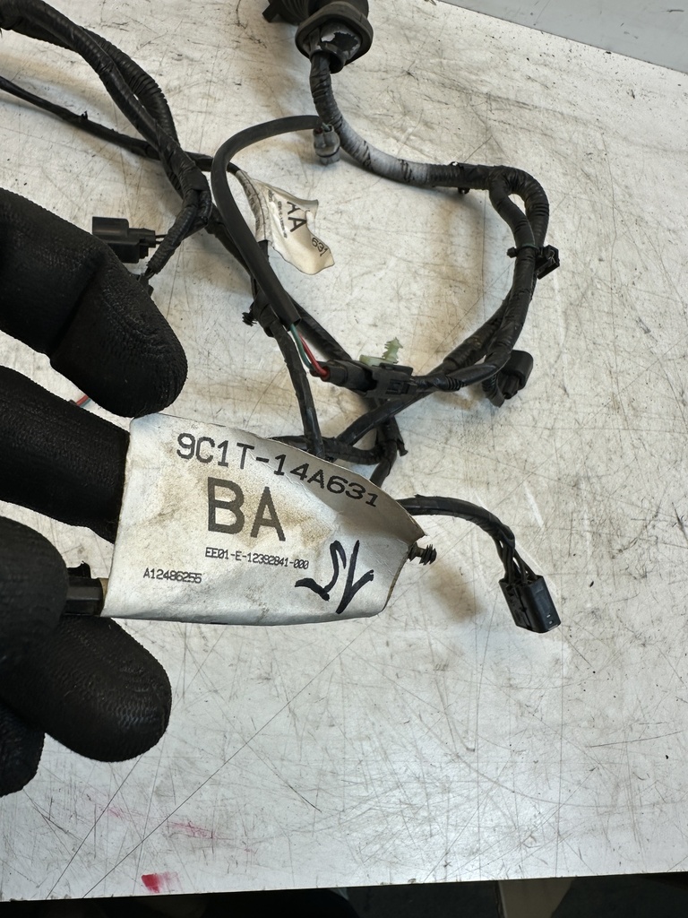 [MTD-540397] Mazo de cables Ford Transit FM 2.2 TDCi