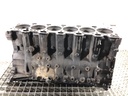 Bloque motor BMW Serie 5 Touring (E61) 525d 2004-2007