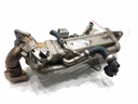 Enfriador EGR BMW Serie 5 (G30, F90) 2016-2022