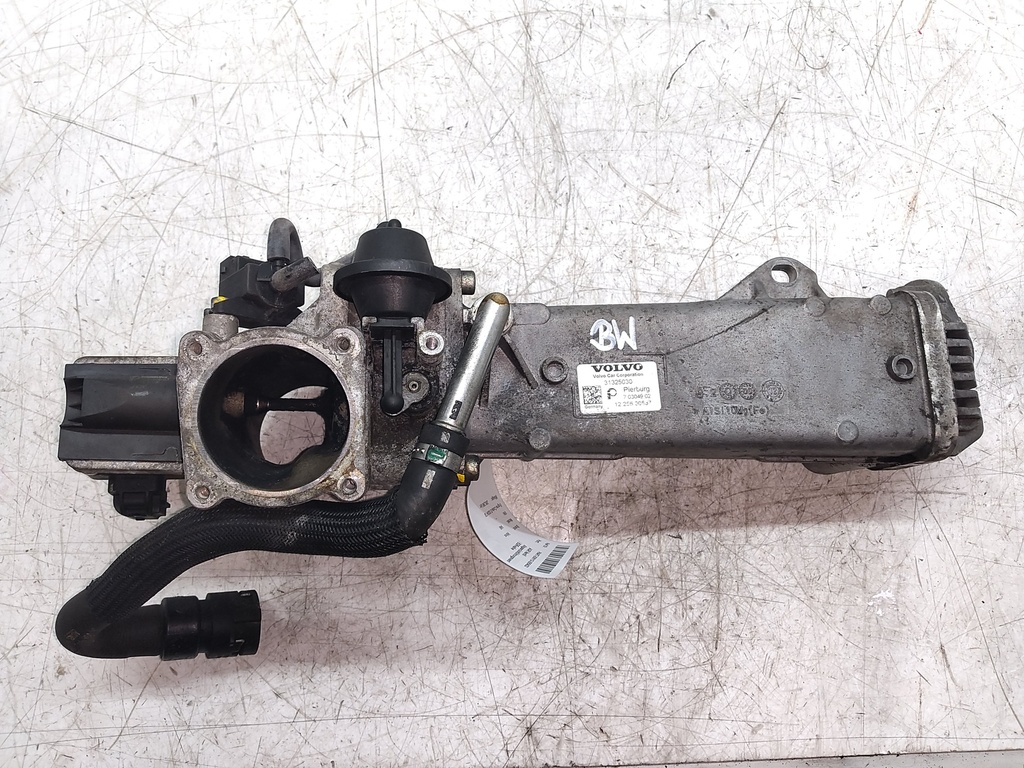 [MTD-549806] Válvula EGR Volvo V40