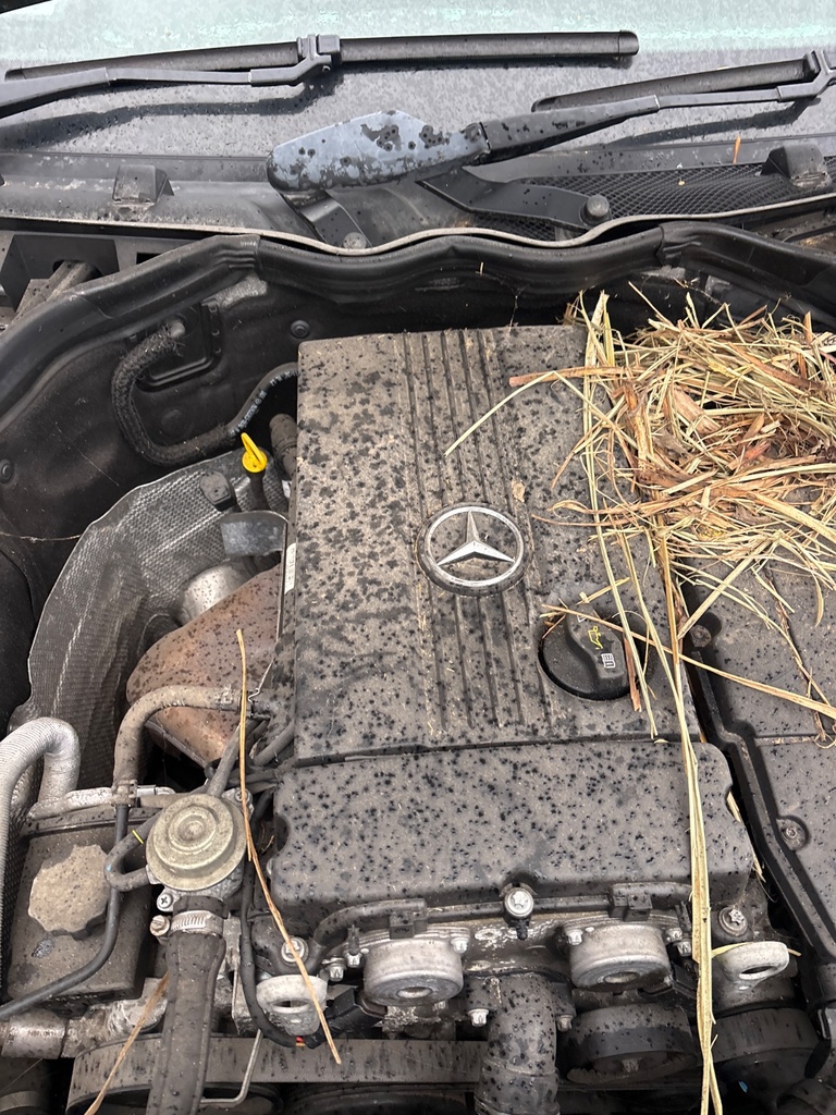 [EPE-147045] Tapa de motor Mercedes-Benz C-Class
