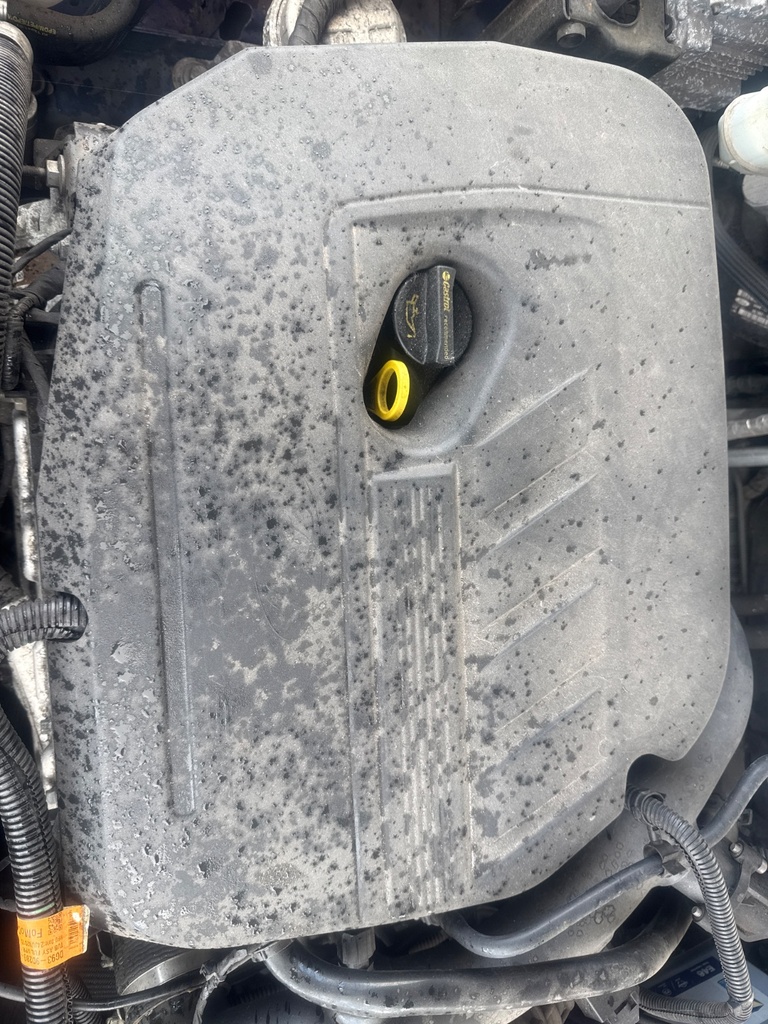 [MTD-529116] Tapa motor Ford Mondeo V
