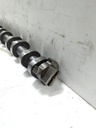 Árbol de levas BMW Serie 6