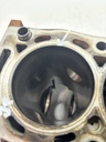 Bloque motor Land Rover Range Rover 2.2 D 224DT BG9Q-6010-BA