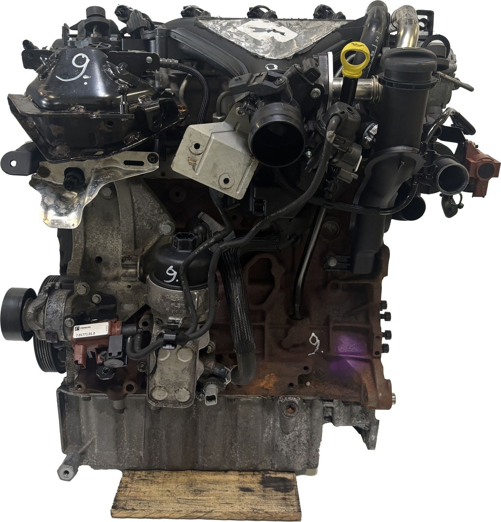 [MTD-469909] Motor Ford Kuga I 2.0 TDCi UKDA D4204T 8V4Q-6006-AA
