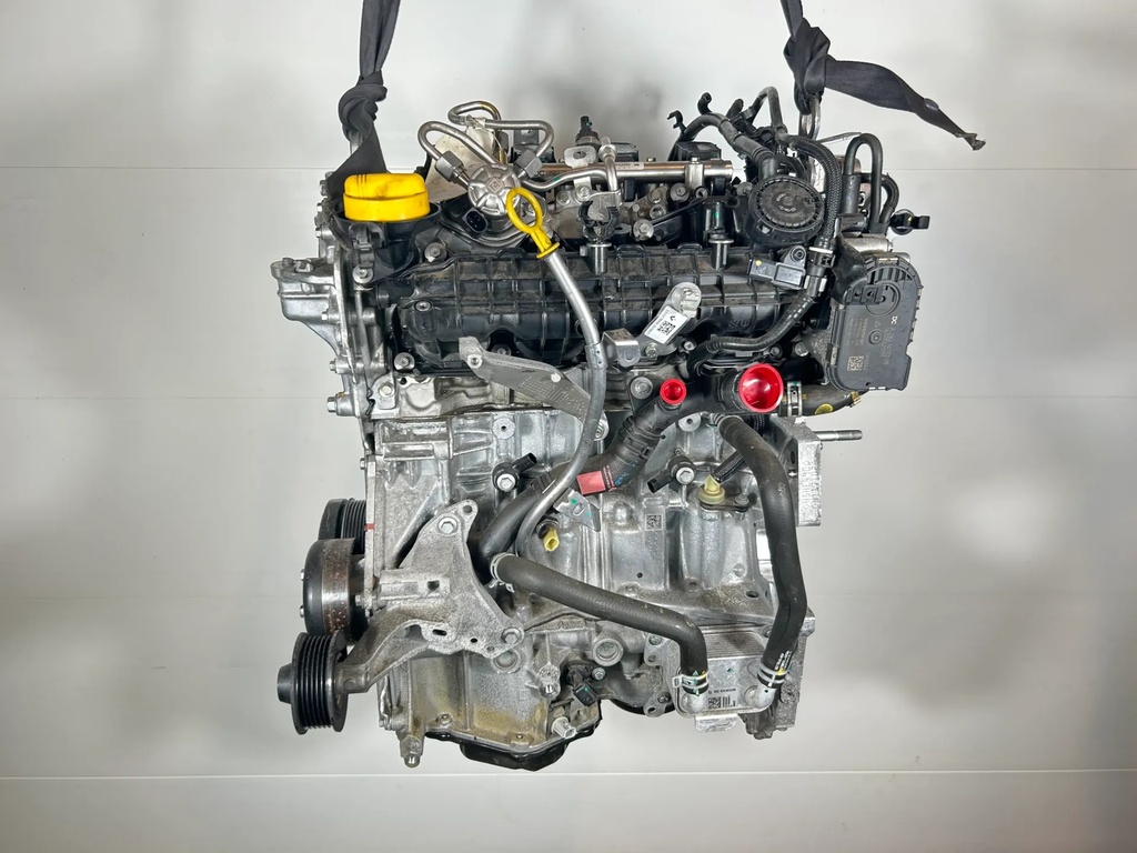 [1000124] Motor Renault Arkana 1,3 TCe H5H490 HR13DDT 38.000km!