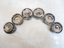 6x pistones Maserati Ghibli III M157 3.0 gasolina F160AM F160 86L133