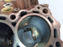 Bloque motor Land Rover Range Rover Sport 3.0 GEN2 306DTA FW9Q-6015-AB