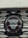 Parrilla del radiador Jaguar E-Pace X540 2.0 D200 Mild Hybrid AWD 204DTY