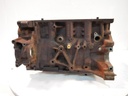 Bloque motor Ford Transit 2.0 EcoBlue 96kW (130CV) YMF6/YMFB