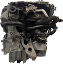 Motor 2.0 TDI CAGA/CAG 03L100036C para Audi A4 B8, A5, Q5 y Seat Exeo 2007-2017