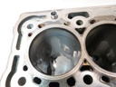 Bloque motor Ford Transit V363 FAD 2.0 EcoBlue YMF6 GK2Q-6015-AB