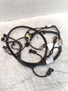 Mazo de cables sensor aparcamiento Dacia Sandero III