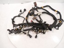Mazo de cables para Ferrari California 4.3 Gasolina F131B48 283503