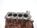 Bloque motor Ford Transit 2.0 EcoBlue YLF6 BJFA GK2Q-6015-AB