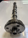 Árbol de levas Audi Cupra A3 S3 Leon 2.0 TFSI quattro DNFB DNF 06Q109088C INT