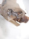 Catalizador Nissan Cabstar NT400 F24M 2.5 D YD25 YD25DDTI