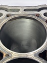 Bloque motor Ford Transit V362 F3 2.0 EcoBlue YLF6 GK2Q-6015-AC