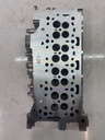 Culata Ford S-Max 2.0 EcoBlue YMCB HG9Q-6090-AB