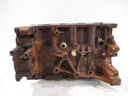 Bloque motor Ford Transit 2.0 EcoBlue YMR6 BKRA GK2Q-6015-AC