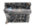 Bloque motor Audi A3 Leon 2.0 35 TDI DFGA DFG DFGC 03N023C