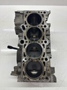 Bloque motor Audi VW A4 B6 A6 C5 2.0 ALT 06D028A