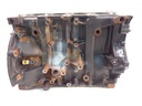 Bloque motor Opel Vivaro 2.0 DCI Diésel LDN M9R780