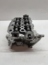Culata Land Rover Discovery 3.0 TD V6 4x4 306DT izquierda 9X2Q-6C064-CA