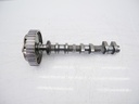 Árbol de levas para Ford Fiesta VII 1.1 Ti-VCT (XPJB) 52 kW / 70 CV