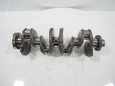 Cigüeñal Audi A3, Seat Ateca, VW Golf VII 1.6 TDI 85kW 115CV DGTE DGT