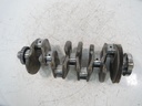 Cigüeñal Audi A3, Skoda Octavia, VW Golf, Seat Leon 2.0 TDi DCY DCYA DCYB