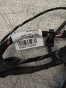 Mazo de cables puerta trasera derecha VW Tiguan