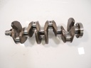 Cigüeñal Audi Seat Skoda VW 1.6 TDI CAY CAYC 03L105021A