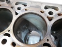 Bloque motor Ford Transit FCD FFD 2.0 EcoBlue YMR6 GK2Q-6015-AB