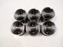 Juego 6 pistones para Land Rover Discovery 3.0 TDV6 306DTA