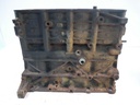 Bloque motor VW Golf Plus 1.9 TDI BXF 038103021AT