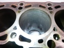 Bloque motor VW Golf 1.9 TDI BXE