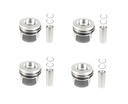 4x Pistón STD 81,01mm Audi Seat Skoda VW 2.0 TDI CAG CAGA CAGB CAGC