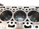Bloque motor Ford Transit FY FBD 2.0 EcoBlue YNF6