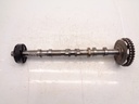 Árbol de levas Land Rover Discovery 3.0 SDV6 306DT 306DTA