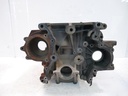 Bloque motor Ford Transit FZ 2.0 EcoBlue YLF6