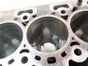Bloque motor Ford Transit F3 2.0 EcoBlue BKFB BKFA GK2Q-6015-BB