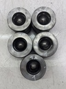 5x Pistones para Land Rover Discovery V L462 3.0 D 306DTA/306DT