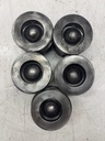 5 Pistones para Jaguar F-Pace X761 3.0 SDV6 306DTA 306DT AJTDV6