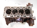 Bloque motor Ford Transit V363 2.0 EcoBlue BKRA
